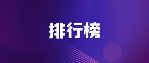 2023中國互聯網公司TOP100排行榜 網絡安全服務領域的引領者與變革者