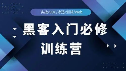 2025最新 網(wǎng)絡(luò)安全行業(yè)的副業(yè)選擇與互聯(lián)網(wǎng)安全服務(wù)
